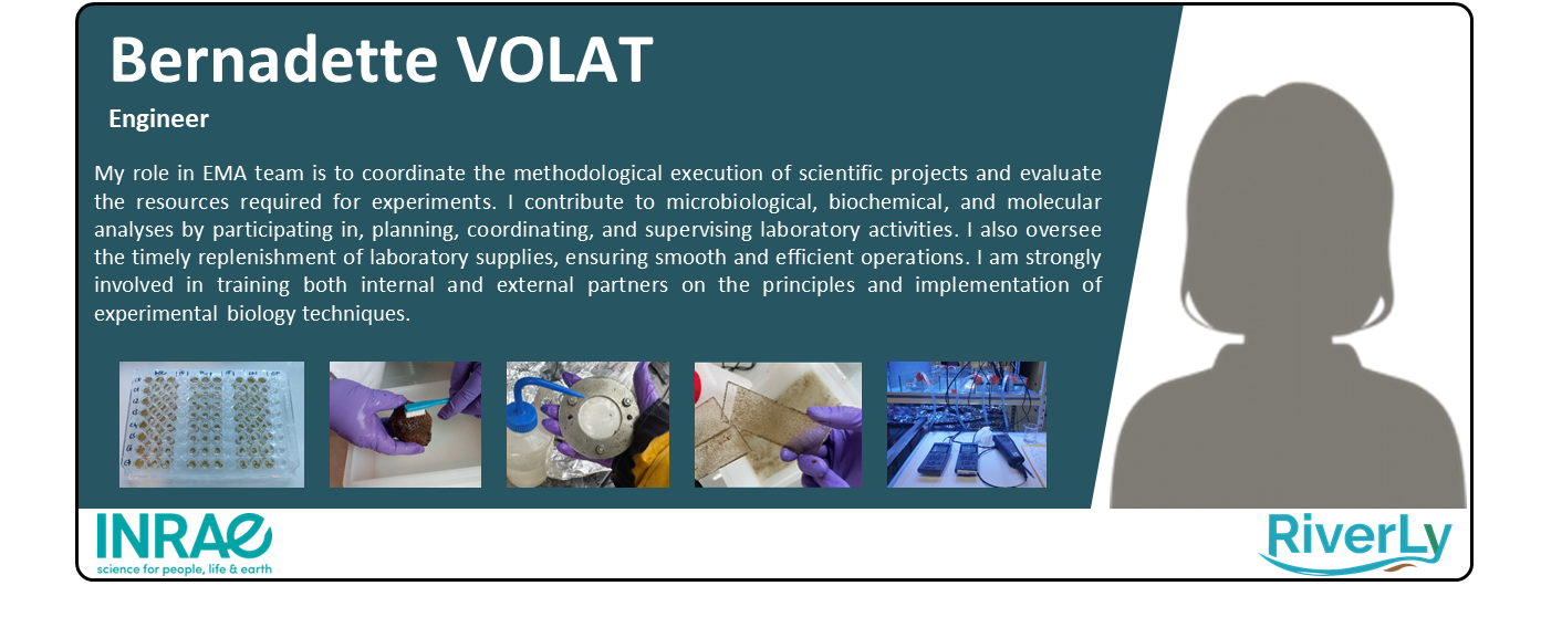 F. B. Volat