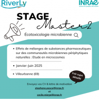 M2 2025-RiverLy