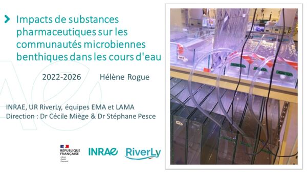 Soutenance_H-Rogue.jpg Soutenance_H-Rogue.jpg