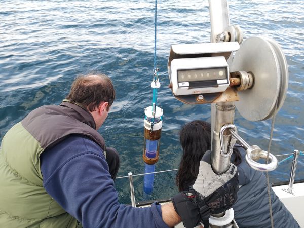 Sediment coring tool